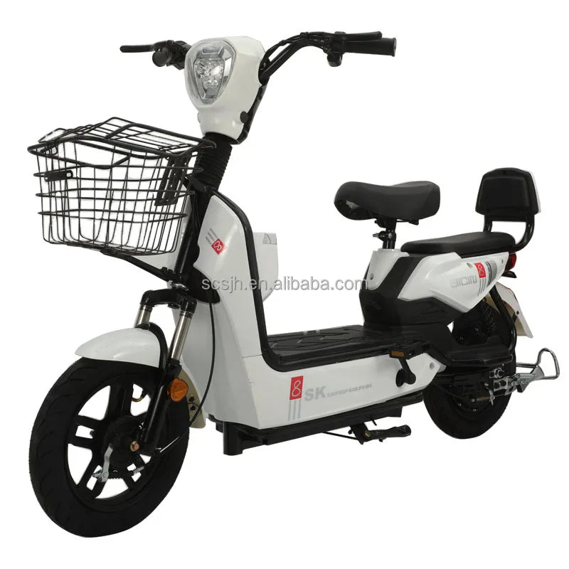 Hot Sale China Factory Electric Recreational Tricycle Adults Kids Standard Edition MiniBike/PocketBike 48V 350W Silent Motor