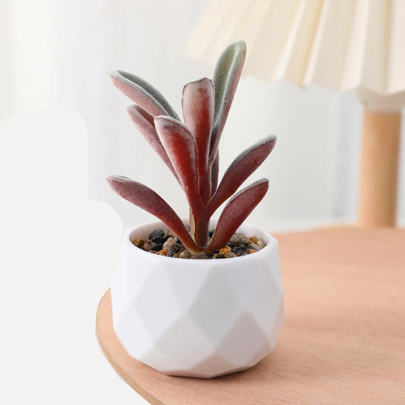 Succulents Plants Bonsai Cactus Potted Plants Garden Greenery Faux Succulents for Home Decor