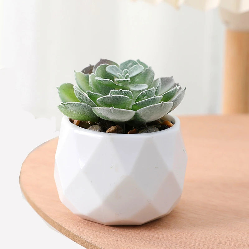 Succulents Plants Bonsai Cactus Potted Plants Garden Greenery Faux Succulents for Home Decor