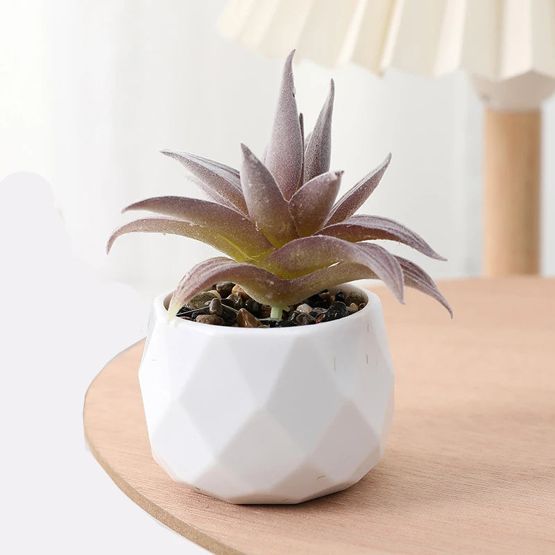 Succulents Plants Bonsai Cactus Potted Plants Garden Greenery Faux Succulents for Home Decor