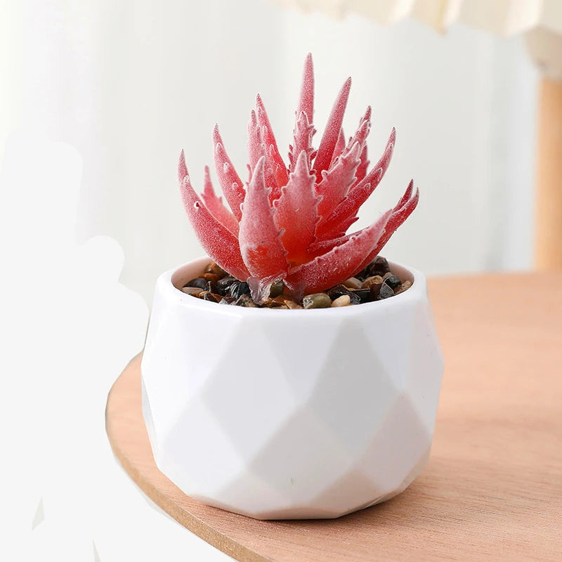Succulents Plants Bonsai Cactus Potted Plants Garden Greenery Faux Succulents for Home Decor