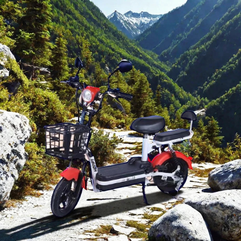 350W Silent 48V Standard Edition 2024 Electric Recreational Tricycle Kids Adults 40-60km/h 14-inch Tires Metal Hub 12Ah Battery