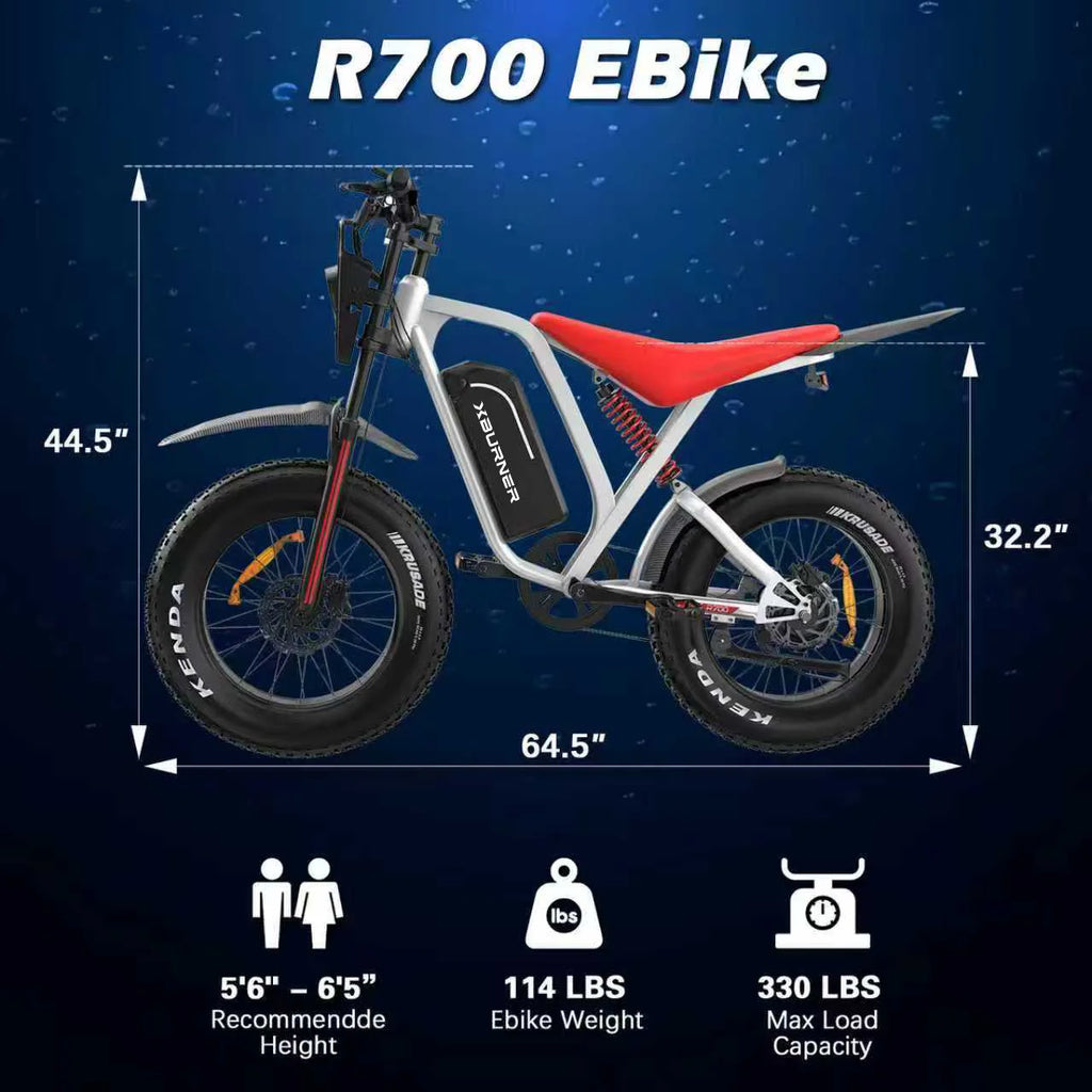 Fat Tire 20x4.0 Down Tube 48V Lithium Battery Electric Mountain Bike 250W Motor Waterproof for Adults Mountain Riding