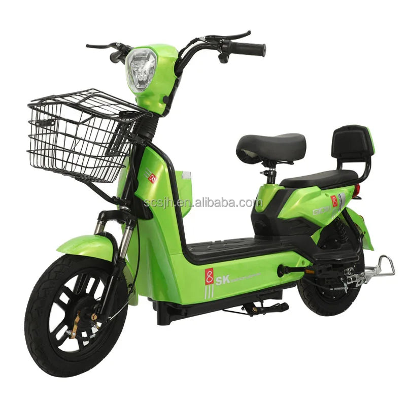 Hot Sale China Factory Electric Recreational Tricycle Adults Kids Standard Edition MiniBike/PocketBike 48V 350W Silent Motor
