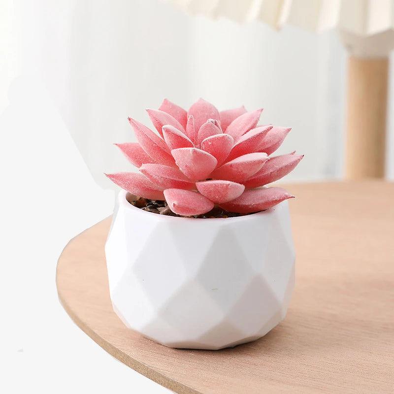 Succulents Plants Bonsai Cactus Potted Plants Garden Greenery Faux Succulents for Home Decor