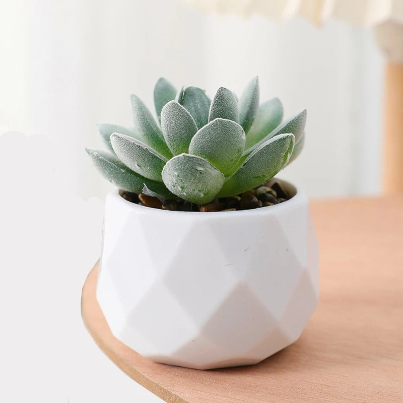 Succulents Plants Bonsai Cactus Potted Plants Garden Greenery Faux Succulents for Home Decor
