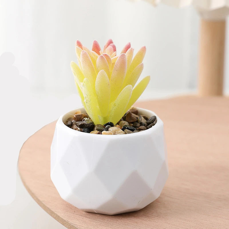Succulents Plants Bonsai Cactus Potted Plants Garden Greenery Faux Succulents for Home Decor