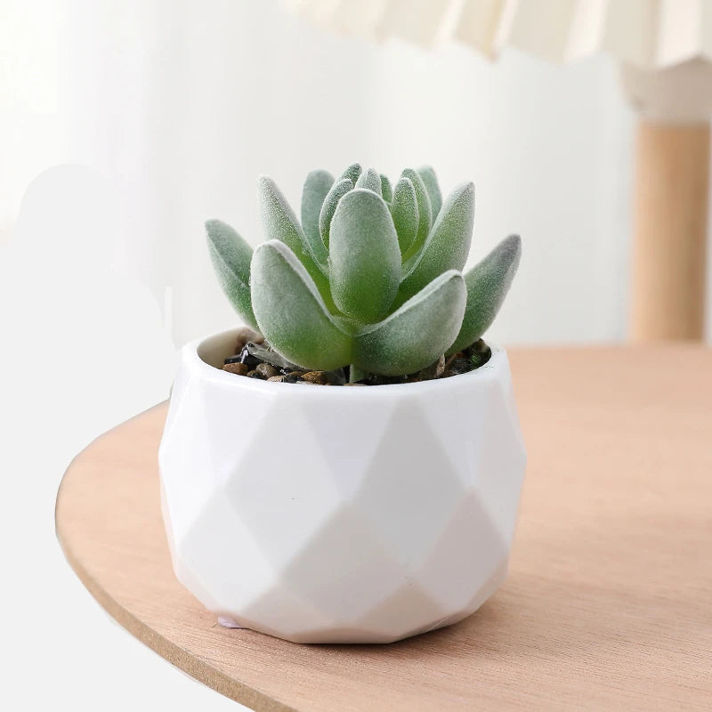 Succulents Plants Bonsai Cactus Potted Plants Garden Greenery Faux Succulents for Home Decor