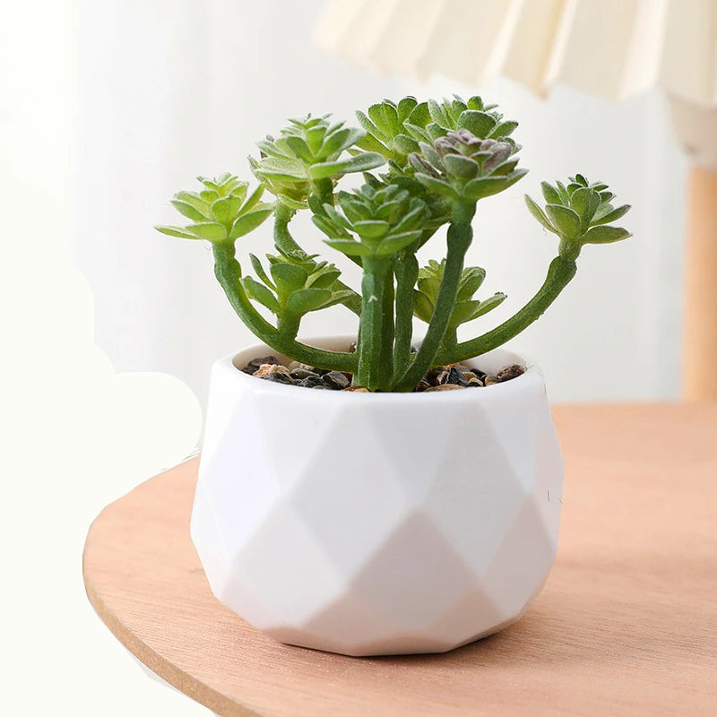 Succulents Plants Bonsai Cactus Potted Plants Garden Greenery Faux Succulents for Home Decor