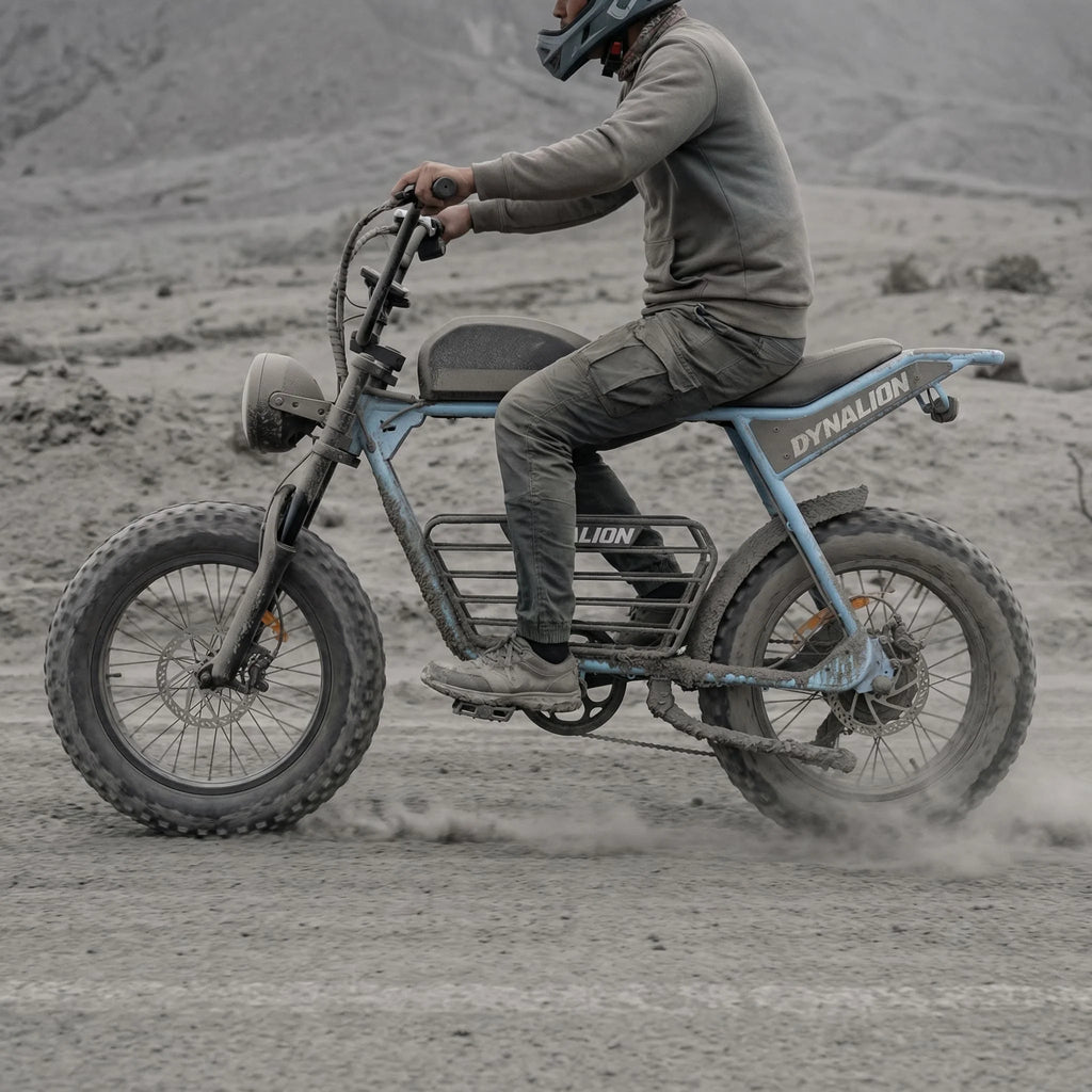 Fast Delivery USA Warehouse 20" Ebike 48v Electric Fat Bike Long Range Fat Tire Electric Bike