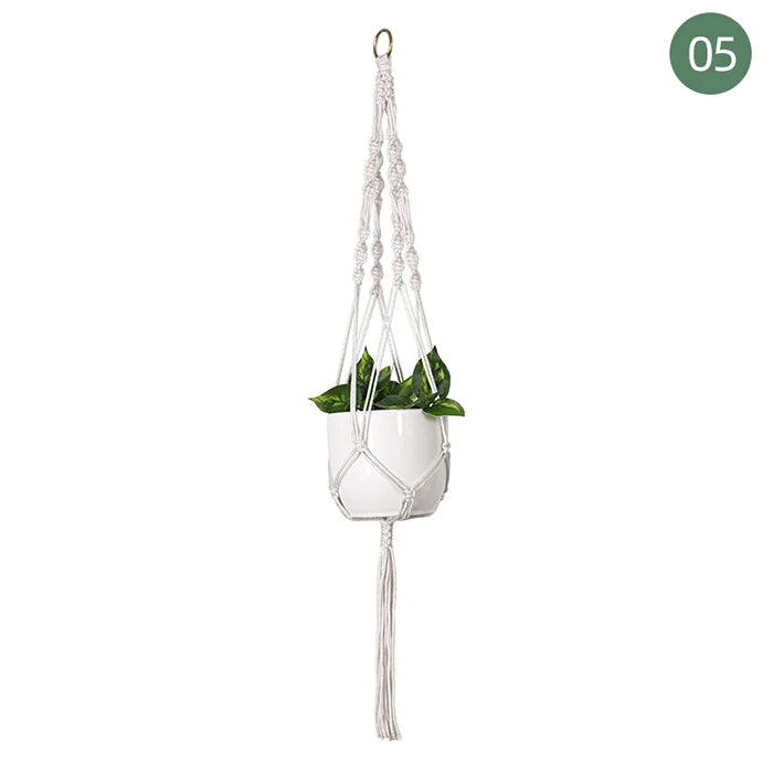 Suspension plante macramé colorée