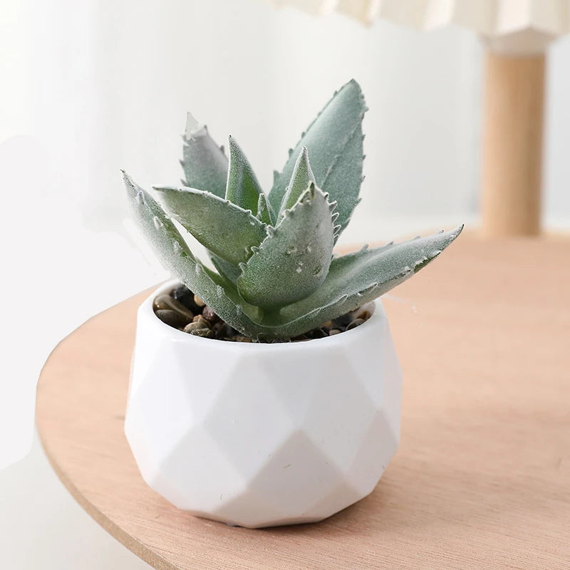 Succulents Plants Bonsai Cactus Potted Plants Garden Greenery Faux Succulents for Home Decor