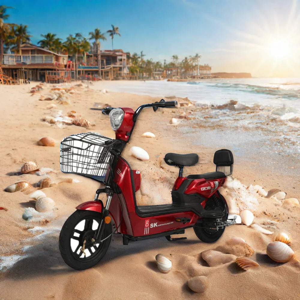 High Speed Electric Recreational Tricycle 350W Silent Motor 48V Battery Metal Hub 14-inch Tires 40-60km/h LED Display Adults