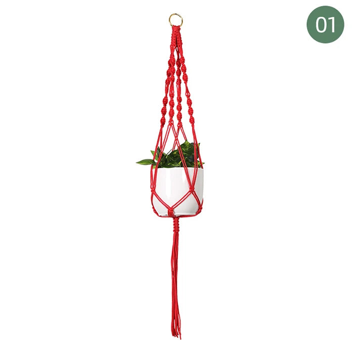 Suspension plante macramé colorée