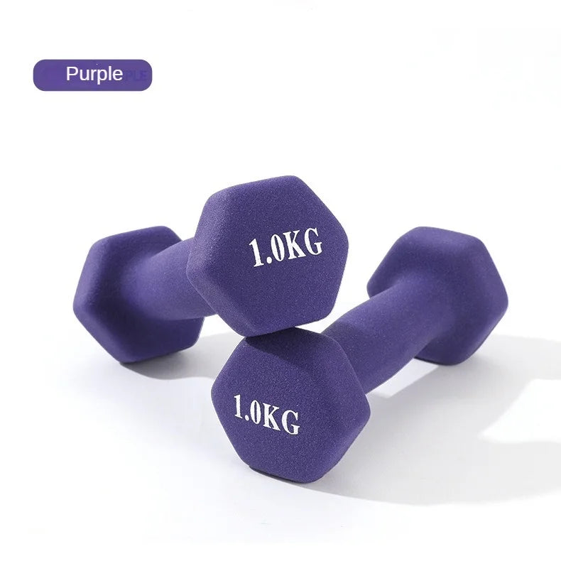 High Quality Stylish Lightweight Small Rubber-Covered Adjustable Anti-Slip Dumbbells Women's Bodybuilding Arms Exercise Tool