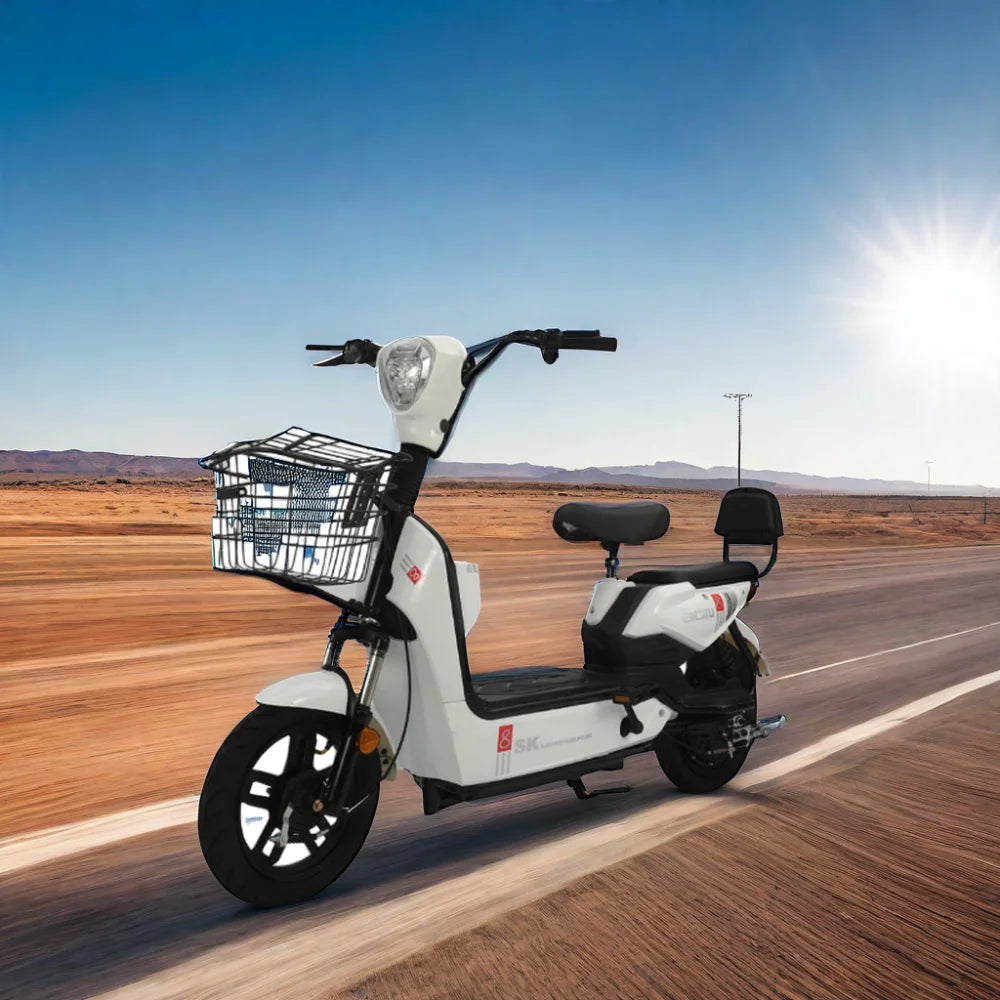 High Speed Electric Recreational Tricycle 350W Silent Motor 48V Battery Metal Hub 14-inch Tires 40-60km/h LED Display Adults