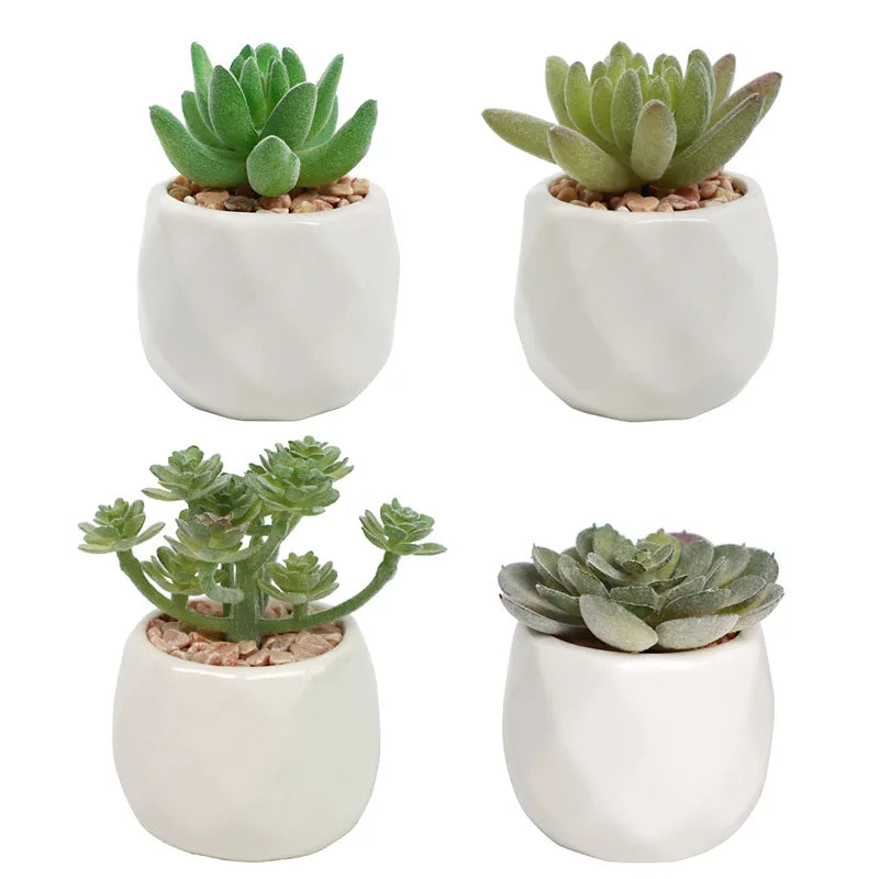 Succulents Plants Bonsai Cactus Potted Plants Garden Greenery Faux Succulents for Home Decor