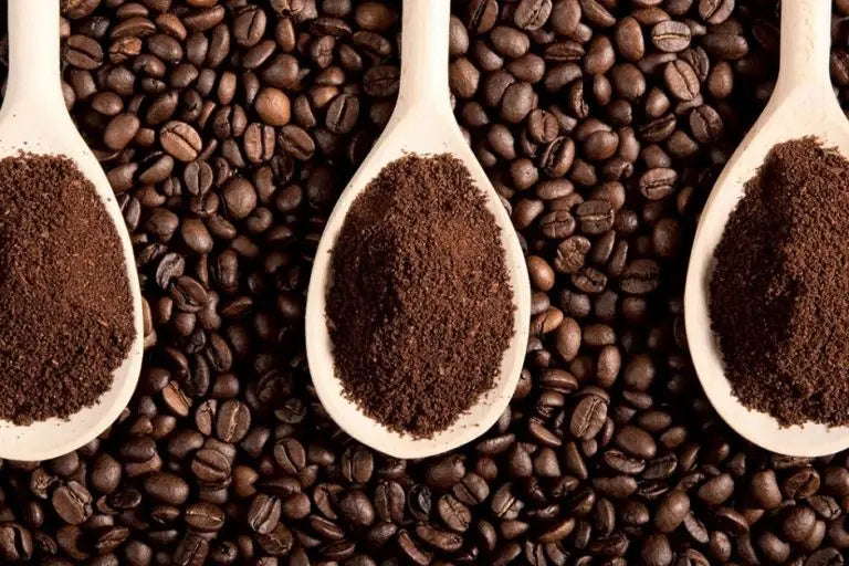 Roasted Vietnamese Arabica Coffee Fully Washed Process Herb Flavored From the Northern Vietnam, Better Price Bulk Order
