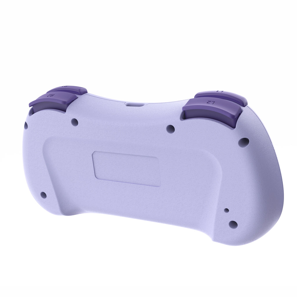Multi-Functional Wireless Game MINI Gamepad for Switch with RGB Lights and Hall Rocker,Support Burst Function