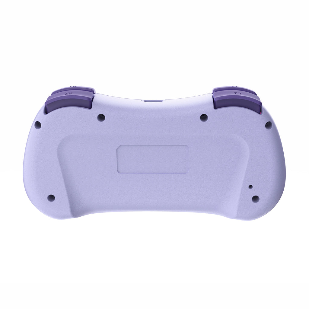 Multi-Functional Wireless Game MINI Gamepad for Switch with RGB Lights and Hall Rocker,Support Burst Function