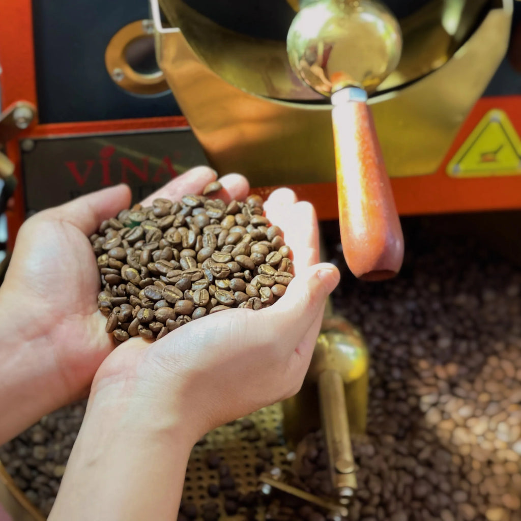 Roasted Vietnamese Arabica Coffee Fully Washed Process Herb Flavored From the Northern Vietnam, Better Price Bulk Order